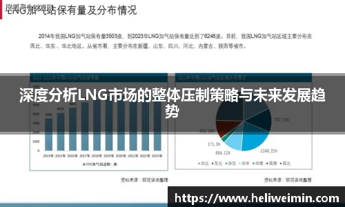 深度分析LNG市场的整体压制策略与未来发展趋势